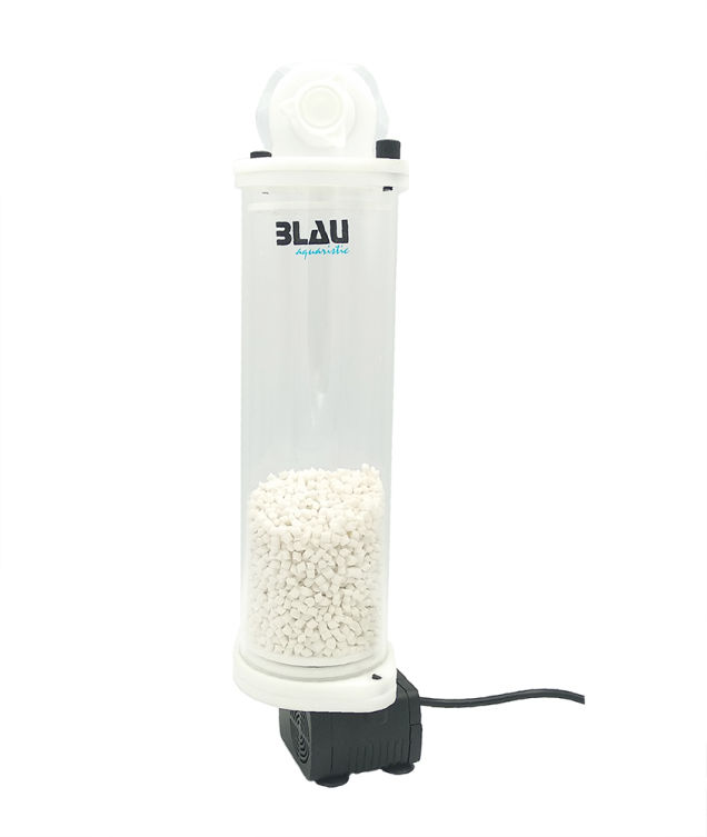 Blau Fluidized Reactor