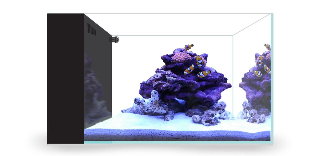 AiO Peninsula Marine